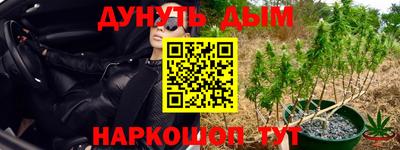 jwh Будённовск